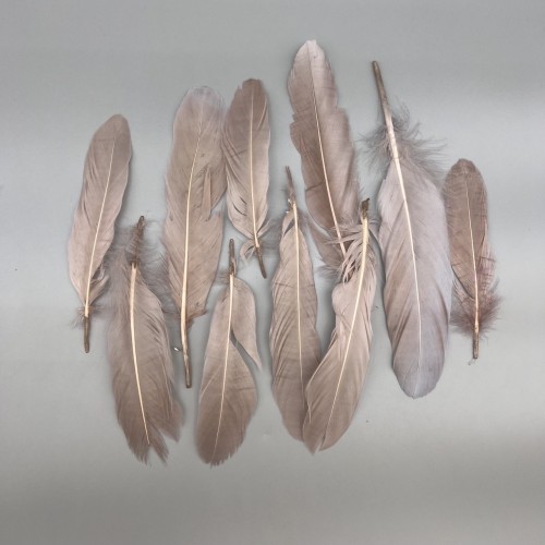 Перья натуральные розово-бежевые , 10 штук