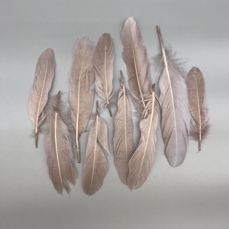 Перья натуральные розово-бежевые , 10 штук