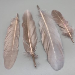 Перья натуральные розово-бежевые , 10 штук
