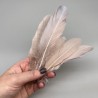 Перья натуральные розово-бежевые , 10 штук