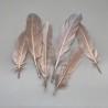 Перья натуральные розово-бежевые , 10 штук