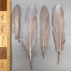 Перья натуральные розово-бежевые , 10 штук