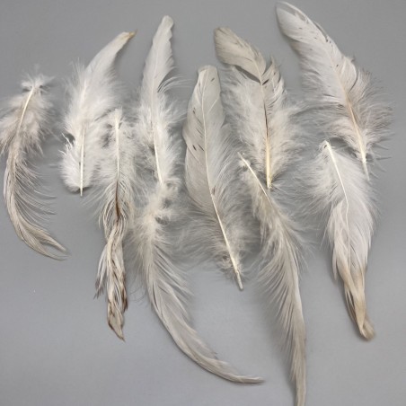 Перья натуральные бежево-молочные, 10 штук