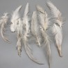 Перья натуральные бежево-молочные, 10 штук
