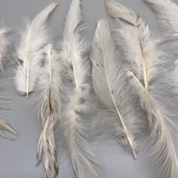 Перья натуральные бежево-молочные, 10 штук