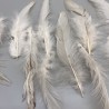 Перья натуральные бежево-молочные, 10 штук