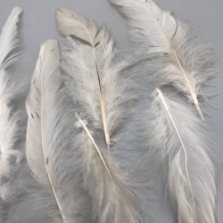 Перья натуральные бежево-молочные, 10 штук