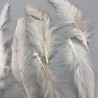 Перья натуральные бежево-молочные, 10 штук