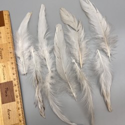 Перья натуральные бежево-молочные, 10 штук