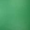 Экокожа на трикотажной основе, ярко-зелёная