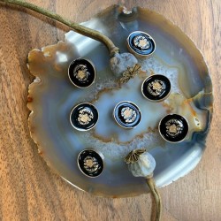 Пуговицы в геральдическом стиле черная масть в золотистой оправе