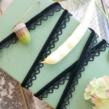 Тесьма бархатная с ажурным краем