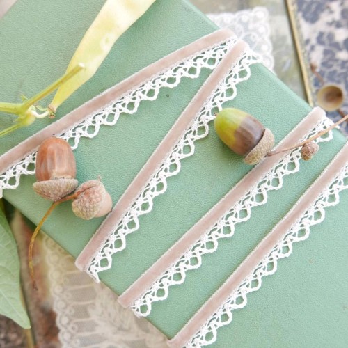 Тесьма бархатная с ажурным краем