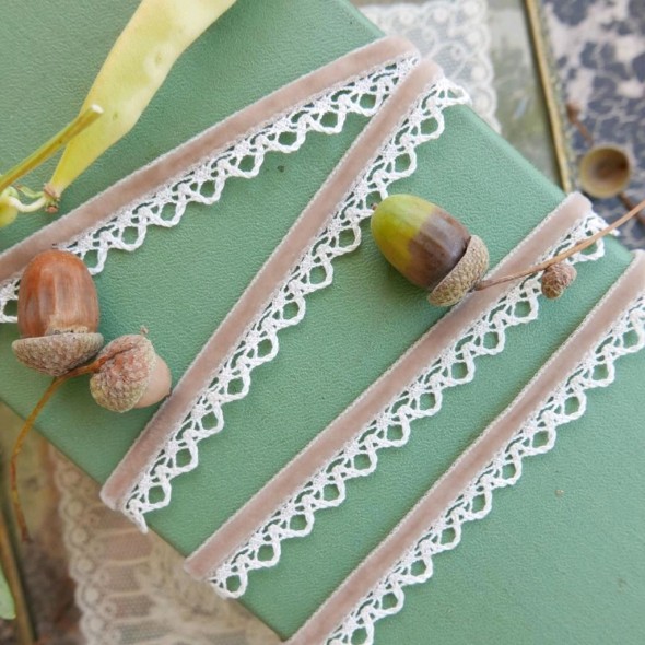 Тесьма бархатная с ажурным краем