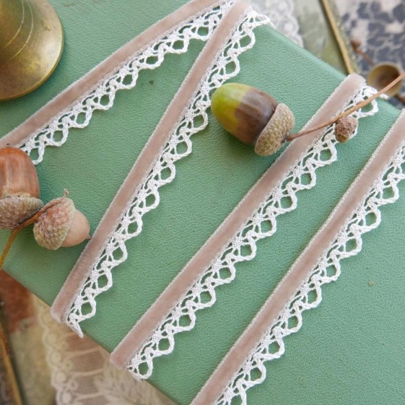 Тесьма бархатная с ажурным краем