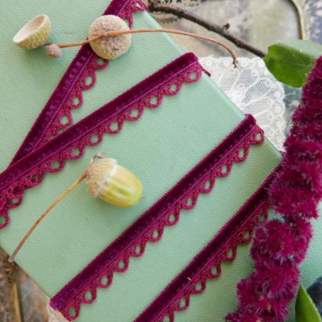 Тесьма бархатная с ажурным краем