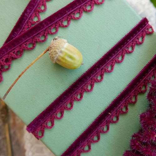 Тесьма бархатная с ажурным краем 2