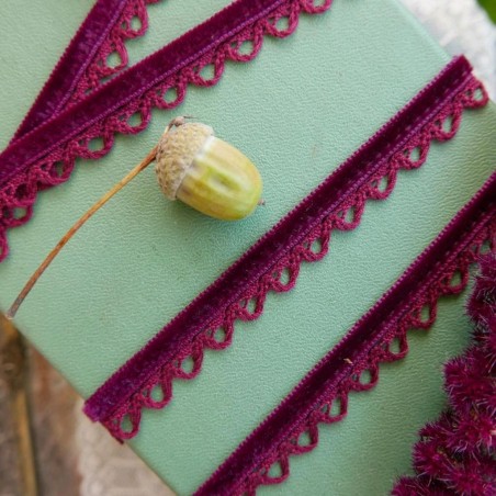 Тесьма бархатная с ажурным краем