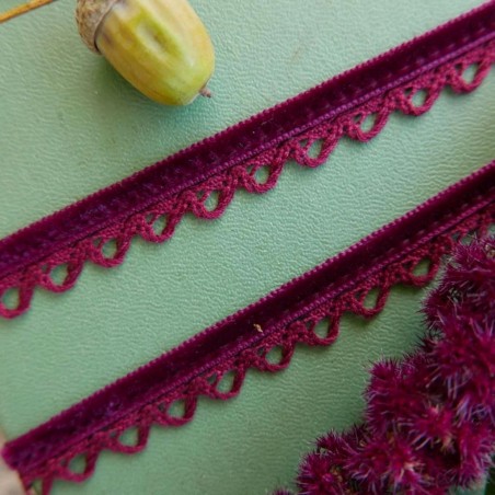 Тесьма бархатная с ажурным краем