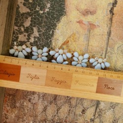 Декоративный элемент для украшения горловины изделия