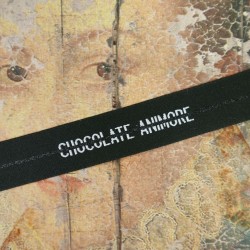 Плотная репсовая лента с блестящей полоской и белым шрифтом