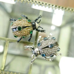 Брошь жук