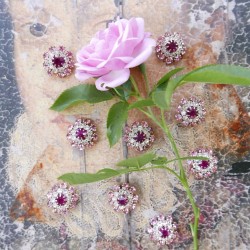 Металлические пуговицы со стразами