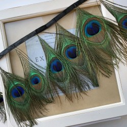 Перья павлина натуральные на атласной ленте