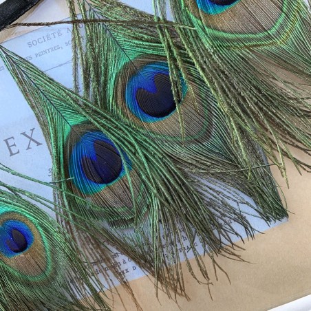 Перья павлина натуральные на атласной ленте