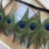 Перья павлина натуральные на атласной ленте