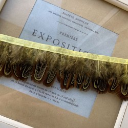 Перья натуральные на атласный основе