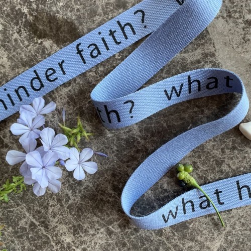 Лента киперная мягкая голубая с принтом