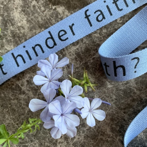 Лента киперная мягкая голубая с принтом