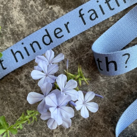 Лента киперная мягкая голубая с принтом