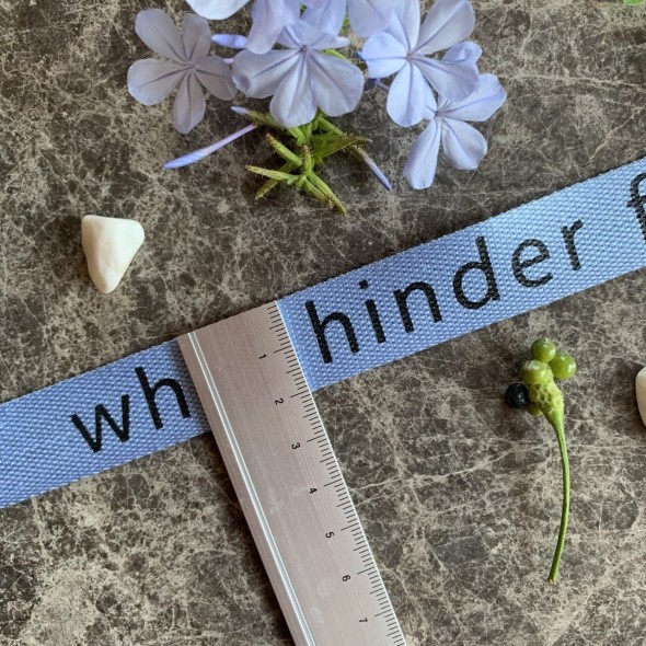 Лента киперная мягкая голубая с принтом