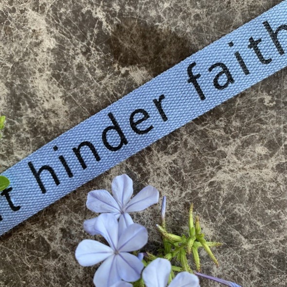 Лента киперная мягкая голубая с принтом