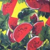 Ткань вискоза с полиэстером яркие арбузы