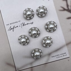 Пуговицы серебристые с бархатной лентой, 25 мм